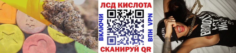 OMG как зайти  Новоржев  ЛСД экстази кислота  где купить наркотик 